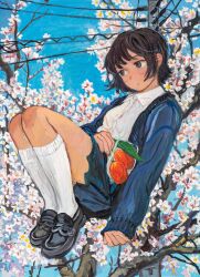 Rule 34 | 1girl, absurdres, arm at side, black eyes, black hair, blue jacket, blue skirt, branch, buttons, cherry blossoms, closed mouth, collared shirt, commentary, expressionless, floating, flower, full body, hand on own stomach, head tilt, highres, holding, holding flower, jacket, kneehighs, knees up, light blush, loafers, long sleeves, minahamu, open clothes, open jacket, orange flower, original, pleated skirt, power lines, shirt, shoes, short hair, sideways glance, skirt, socks, solo, tree, utility pole, white shirt, white socks