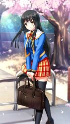 Rule 34 | 1girl, bag, black hair, black thighhighs, blue jacket, bow, bowtie, cherry blossoms, closed mouth, day, doukyuusei, doukyuusei another world, floating hair, game cg, holding, holding bag, jacket, leaning forward, long hair, long sleeves, looking at viewer, low-tied long hair, masaki natsuko, miniskirt, orange bow, orange bowtie, orange skirt, outdoors, plaid, plaid bow, plaid bowtie, plaid skirt, pleated skirt, sailor collar, school bag, skirt, smile, solo, spring (season), standing, sunlight, thighhighs, very long hair, white sailor collar, yellow eyes, zettai ryouiki