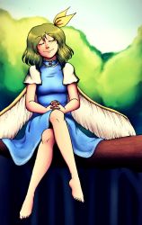 Rule 34 | 1girl, barefoot, blue dress, daiyousei, dress, closed eyes, fairy, fairy wings, full body, green hair, hair ribbon, highres, moonywitcher, ribbon, short hair, short sleeves, smile, solo, touhou, tree, wings, yellow ribbon