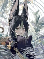 Rule 34 | 1boy, animal ear fluff, animal ears, black gloves, black hair, blue eyes, book, bright pupils, cape, chair, colored inner hair, commentary, earrings, english commentary, fern, fox boy, fox ears, genshin impact, gloves, green hair, greenhouse, hair between eyes, hi to sama, highres, holding, holding book, indoors, jewelry, leaf, looking at viewer, male focus, multicolored hair, open book, parted lips, plant, single earring, sitting, solo, tassel, tighnari (genshin impact), two-tone hair, white pupils