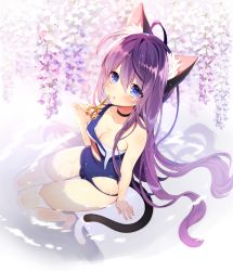Rule 34 | 1girl, ahoge, animal ears, blue eyes, blush, breasts, byulzzi, cat ears, cat tail, cleavage, covered navel, flower, knees together feet apart, long hair, looking at viewer, one-piece swimsuit, original, parted lips, purple hair, school swimsuit, scissors, sitting, solo, swimsuit, tail, thighhighs, torn clothes, torn swimsuit, water, white thighhighs, wisteria