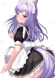 Rule 34 | 1girl, alternate costume, animal ears, apron, ass, blush, enmaided, frilled apron, frills, highres, horse ears, horse girl, horse tail, long hair, looking at viewer, looking back, maid, maid apron, maid headdress, mejiro mcqueen (umamusume), nose blush, open mouth, panties, puffy short sleeves, puffy sleeves, purple eyes, purple hair, short sleeves, simple background, solo, swept bangs, tail, umamusume, underwear, white apron, white background, white panties, yuutii