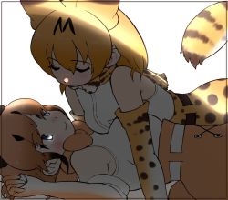 Rule 34 | animal ears, blouse, bow, bowtie, caracal (kemono friends), cats yone, gloves, kemono friends, kemono friends 2, kemono friends 3, necktie, serval (kemono friends), shirt, simple background, skirt, tail, traditional bowtie, white background, white shirt