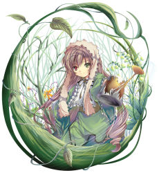 Rule 34 | 00s, 1girl, black ribbon, brown hair, character name, closed mouth, corset, dress, duplicate, english text, foreshortening, frilled sleeves, frills, green dress, green eyes, headset, heterochromia, holding, leaf, long hair, long sleeves, looking at viewer, outstretched arm, plant, red eyes, ribbon, rozen maiden, smile, solo, straightchromia, suiseiseki, upper body, very long hair, vines, watering can, wide sleeves, yamamoto nori