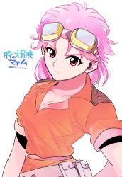 Rule 34 | 1girl, breasts, cleavage, closed mouth, dragon quest, dragon quest dai no daibouken, dress, goggles, goggles on head, highres, looking at viewer, maam, oriharayome, pink eyes, pink hair, short hair, simple background, solo, white background