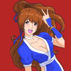 Rule 34 | 1girl, astroboyjed, breasts, brown eyes, brown hair, cleavage, dead or alive, happy, kasumi (doa), large breasts, long hair, looking to the side, ninja, open mouth, pelvic curtain, ponytail, red background, short sleeves, teeth, upper teeth only, v