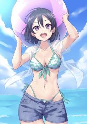 Rule 34 | 1girl, :d, antenna hair, arms up, ball, beachball, bikini, black hair, blouse, blue sky, blush, breasts, cleavage, cloud, collarbone, day, front-tie bikini top, front-tie top, hair between eyes, halterneck, highres, holding, holding ball, holding beachball, kanabun, looking at viewer, love live!, love live! sunshine!!, love live! sunshine!! the school idol movie over the rainbow, medium breasts, midriff, navel, ocean, open clothes, open fly, open mouth, open shirt, outdoors, purple eyes, see-through, see-through skirt, shirt, short hair, short sleeves, shorts, side-tie bikini bottom, skirt, sky, smile, solo, swimsuit, teeth, two-tone bikini, upper teeth only, watanabe tsuki, | |