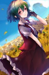 Rule 34 | 1girl, ascot, black gloves, blue sky, closed mouth, dutch angle, field, flower, flower field, gloves, green hair, highres, kazami yuuka, kurozu piroo, looking at viewer, outdoors, red eyes, red skirt, red vest, shirt, short hair, short sleeves, skirt, sky, smile, solo, touhou, vest, white shirt, yellow ascot
