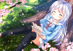 Rule 34 | 1girl, ^ ^, black thighhighs, blue cardigan, blurry, blurry foreground, blush, book, branch, brown footwear, cardigan, cherry blossoms, chinomaron, closed eyes, closed mouth, day, depth of field, facing viewer, feet out of frame, fingernails, flower, gochuumon wa usagi desu ka?, grass, hair ornament, hoto cocoa&#039;s school uniform, kafuu chino, loafers, long hair, neck ribbon, on grass, open book, outdoors, pink flower, pleated skirt, red ribbon, ribbon, sailor collar, school uniform, serafuku, shoes, silver hair, sitting, skirt, smile, solo, thighhighs, tree, very long hair, white sailor collar, white skirt, x hair ornament
