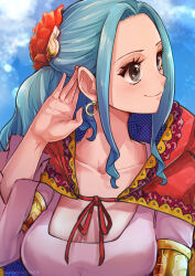 Rule 34 | 1girl, aosora2823, artist name, black eyes, blue hair, closed mouth, cloud, cloudy sky, commentary, earrings, english commentary, flower, hair flower, hair ornament, highres, hoop earrings, jewelry, long hair, looking to the side, nefertari vivi, one piece, outdoors, red flower, sky, smile, solo