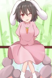 Rule 34 | 1girl, :3, alternate eye color, animal ears, as0987123, bamboo, bamboo forest, black hair, blouse, blush, breasts, brown eyes, carrot necklace, commentary request, floppy ears, forest, full body, hair between eyes, highres, inaba tewi, jewelry, looking at viewer, medium breasts, nature, necklace, one eye closed, pink shirt, pink skirt, rabbit ears, rabbit girl, shirt, short hair, skirt, smile, socks, solo, tongue, tongue out, touhou, white socks