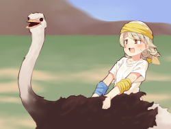 Rule 34 | 1girl, animal, bad id, bad pixiv id, bird, blurry, blurry background, brown eyes, brown hair, cosplay, cosplay request, day, depth of field, idolmaster, idolmaster cinderella girls, long hair, morikubo nono, ostrich, outdoors, ringlets, shirt, short sleeves, solo, sweat, uccow, white shirt