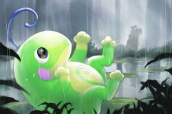 Rule 34 | black eyes, bush, closed mouth, commentary request, creatures (company), evolutionary line, forest, game freak, gen 2 pokemon, lily pad, lying, nature, nintendo, no humans, on back, outdoors, pokemon, pokemon (creature), politoed, purobe, rain, smile, teddiursa, toes, tree, ursaring, water