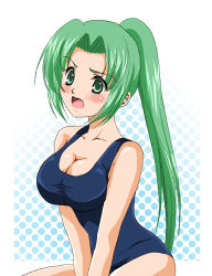 Rule 34 | 00s, blush, breasts, cleavage, green eyes, green hair, higurashi no naku koro ni, large breasts, long hair, lowres, one-piece swimsuit, open mouth, ponytail, school swimsuit, sinko, solo, sonozaki mion, swimsuit