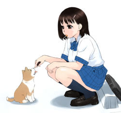 Rule 34 | brown eyes, brown hair, candy, dog, food, hair ornament, hairclip, jinroku, lollipop, mouth hold, original, pet, puppy, school uniform, serafuku, short hair, simple background, solo, squatting, white background