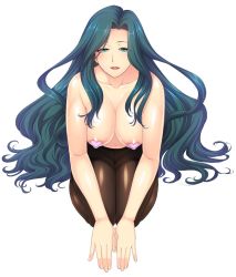 Rule 34 | 00s, 1girl, areola slip, breasts, covered erect nipples, female focus, green eyes, green hair, heart pasties, highres, lilith-soft, long hair, looking at viewer, makishima ayame, matching hair/eyes, open mouth, pantyhose, pasties, sitting, smile, solo, taimanin (series), taimanin asagi, taimanin asagi kessen arena, taimanin kurenai, topless, zol