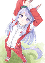 Rule 34 | 1girl, animal ears, arms up, bow, closed mouth, commentary request, ear ribbon, grass, green ribbon, horse ears, horse girl, horse tail, jacket, long hair, long sleeves, looking at viewer, mejiro mcqueen (umamusume), miri (ago550421), pants, purple eyes, purple hair, red jacket, red pants, ribbon, shoes, solo, standing, stretching, tail, track jacket, track pants, track suit, umamusume, very long hair, white background, white footwear
