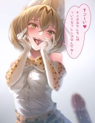 Rule 34 | 10s, 1girl, animal ears, bad id, bad pixiv id, blonde hair, blurry, blush, bow, bowtie, breasts, cum, elbow gloves, gloves, hands on own cheeks, hands on own face, heart, heart-shaped pupils, highres, ishihara (kuniyoshi), kemono friends, looking at viewer, open mouth, penis, print bow, print gloves, saliva, serval (kemono friends), serval print, short hair, solo focus, speech bubble, symbol-shaped pupils, tongue, tongue out, translated, white gloves, yandere trance, yellow eyes