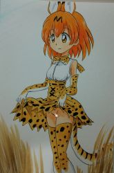 Rule 34 | 1girl, absurdres, animal ears, animal print, ashigaki radar, blue background, bow, bowtie, breasts, censored, clothes lift, gloves, grass, highres, kemono friends, looking down, medium breasts, no panties, orange gloves, orange neckwear, orange skirt, orange thighhighs, print gloves, print legwear, print neckwear, print skirt, pussy, red hair, serval (kemono friends), serval print, serval tail, shirt, short hair, skirt, skirt lift, sleeveless, sleeveless shirt, smile, standing, tail, thighhighs, two-tone background, white background, white shirt, yellow eyes