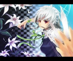 Rule 34 | 1girl, bad id, bad pixiv id, braid, female focus, flower, izayoi sakuya, knife, letterboxed, lilies, lily (flower), mouth hold, nauribon, petals, red eyes, silver hair, solo, embodiment of scarlet devil, throwing knife, touhou, twin braids, weapon