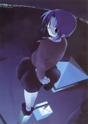 Rule 34 | 00s, 1girl, blue eyes, blue hair, blue theme, ciel (tsukihime), dutch angle, fisheye, from behind, glasses, highres, jiji (aardvark), lamppost, matching hair/eyes, outdoors, ribbon, rooftop, round eyewear, short hair, skirt, solo, source request, standing, tsukihime
