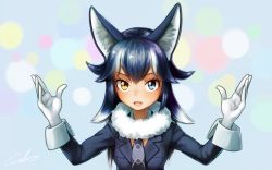 Rule 34 | 10s, 1girl, animal ears, arms up, artist name, black hair, black jacket, blue eyes, blush, breasts, commentary request, cowboy shot, fangs, gloves, grey necktie, grey wolf (kemono friends), hair between eyes, heterochromia, jacket, kemono friends, long hair, long sleeves, looking at viewer, multicolored hair, necktie, simple background, sleeve cuffs, solo, welt (kinsei koutenkyoku), white gloves, wolf, wolf ears, yellow eyes