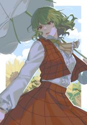 Rule 34 | 1girl, artist name, ascot, blue sky, border, breasts, cloud, cloudy sky, collared shirt, commentary request, flower, frills, green hair, grey shirt, hair between eyes, hand up, highres, holding, holding umbrella, kazami yuuka, leaf, long sleeves, looking to the side, medium breasts, noriuma, open clothes, open mouth, open vest, outside border, plaid, plaid clothes, plaid skirt, plaid vest, puffy long sleeves, puffy sleeves, red eyes, red skirt, red vest, shirt, short hair, skirt, sky, solo, standing, sunflower, touhou, umbrella, vest, white border, yellow ascot, yellow flower