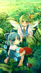 Rule 34 | 2girls, :/, absurdres, barefoot, blue bow, blue dress, blue eyes, blue hair, blush, bow, bug, cirno, closed mouth, collared dress, collared shirt, commentary, daiyousei, detached wings, dress, fairy wings, field, fingernails, food, frown, fruit, green eyes, green hair, hair bow, highres, holding, holding food, ice, ice wings, insect, kneeling, kourou (kouroukun), ladybug, leaf, long sleeves, looking at viewer, looking back, medium hair, multiple girls, one side up, shirt, sitting, sleeveless, sleeveless dress, touhou, wariza, watermelon, white shirt, wings, yellow bow