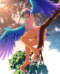 Rule 34 | 1girl, ass, bird legs, blue eyes, blue feathers, blue wings, breasts, cleft of venus, commentary, commission, dr altruist, feathers, freckles, from below, gradient wings, green eyes, green hair, green wings, harpy, heterochromia, looking at viewer, medium breasts, medium hair, monster girl, multicolored hair, multicolored wings, nipples, nude, open mouth, original, patreon username, purple hair, pussy, sitting, sitting on branch, solo, talons, two-tone hair, uncensored, winged arms, wings