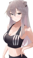 Rule 34 | 1girl, absurdres, animal ears, bare arms, black sports bra, blush, breasts, cleavage, closed mouth, ear piercing, grey eyes, grey hair, hair between eyes, hand on own hip, highres, hololive, large breasts, lion ears, long hair, looking at viewer, makimaki makky7, piercing, shishiro botan, shishiro botan (button-down), simple background, solo, sports bra, upper body, virtual youtuber, white background