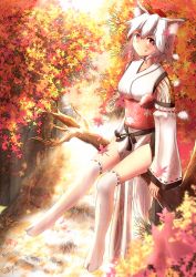 Rule 34 | 1girl, animal ears, autumn leaves, bad id, bad pixiv id, blush, branch, breasts, detached sleeves, fang, hat, in tree, inubashiri momiji, kourindou tengu costume, leaf, looking at viewer, marusan, nature, pelvic curtain, red eyes, ribbon-trimmed sleeves, ribbon trim, short hair, silver hair, sitting, sitting in tree, smile, solo, tail, thighhighs, tokin hat, touhou, tree, white thighhighs, wolf ears, wolf tail