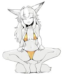 Rule 34 | 1girl, :d, animal ears, bikini, breasts, closed eyes, collarbone, fang, fox ears, fox girl, fox tail, full body, gold bikini, hands on own legs, highres, legs apart, limited palette, long hair, medium breasts, navel, open mouth, original, sakifox, sidelocks, simple background, skindentation, smile, spread legs, squatting, sweat, swimsuit, tail, thighs, white background