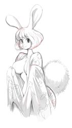 Rule 34 | breasts, carrot (one piece), highres, japanese clothes, kimono, large breasts, one piece, rabbit ears, rabbit girl, rabbit tail, short hair, sketch