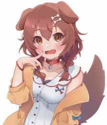 Rule 34 | 1girl, animal collar, animal ears, bone hair ornament, braid, brown eyes, brown hair, buttons, collar, commentary request, dog ears, dog girl, dog tail, dress, fang, hair between eyes, hair ornament, hololive, inugami korone, inugami korone (1st costume), jacket, long hair, low twin braids, red collar, simple background, tail, temari maco, twin braids, virtual youtuber, white dress, wristband, yellow jacket