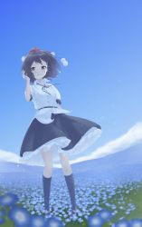 Rule 34 | 1girl, absurdres, arm at side, arm up, black hair, black neckwear, black ribbon, black skirt, black socks, blue sky, blurry, blurry foreground, cloud, commentary, cosmos (flower), day, expressionless, field, flower, flower field, hand in own hair, hat, highres, kanpa (campagne 9), kneehighs, leaning to the side, looking at viewer, mountainous horizon, nemophila (flower), outdoors, petticoat, puffy short sleeves, puffy sleeves, purple footwear, red eyes, red hat, ribbon, shameimaru aya, shirt, short hair, short sleeves, skirt, sky, socks, solo, standing, tokin hat, touhou, untucked shirt, white shirt, wind, wind lift