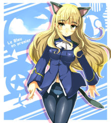 Rule 34 | 1girl, aircraft, airplane, animal ears, blonde hair, breasts, brown eyes, cat, cat ears, cat tail, french text, glasses, green eyes, long hair, medium breasts, military, military uniform, owarine miku, panties, panties under pantyhose, pantyhose, perrine h. clostermann, solo, star (symbol), strike witches, tail, thigh gap, thighs, underwear, uniform, world witches series