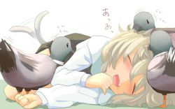 Rule 34 | 1girl, animal ears, bird, blush, capelet, duck, closed eyes, grey hair, ruffling hair, image sample, ishikkoro, mouse ears, mouse tail, nazrin, saliva, short hair, sleeping, smile, solo, tail, tail wagging, touhou