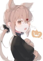 Rule 34 | 1girl, absurdres, animal ear fluff, animal ears, animal hands, black bow, black shirt, blush, bow, breasts, brown eyes, brown gloves, brown hair, cat ears, fang, from side, gloves, hair between eyes, hair bow, hair ornament, hairclip, halloween, halloween costume, highres, jack-o&#039;-lantern, kantai collection, long hair, long sleeves, low twintails, medium breasts, paw gloves, raymie0124, shirt, signature, simple background, solo, tashkent (kancolle), twintails, upper body, white background