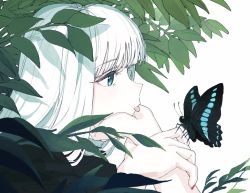 Rule 34 | 1girl, :p, aqua eyes, black butterfly, black shirt, bug, butterfly, butterfly on hand, head rest, highres, insect, leaf, long hair, nail polish, original, own hands together, plant, profile, red nails, shirt, simple background, tenoo12, tongue, tongue out, upper body, white background, white hair