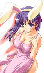 Rule 34 | 00s, animal ears, apron, blush, breasts squeezed together, breasts, cleavage, covered erect nipples, fake animal ears, fate/stay night, fate (series), hair ribbon, large breasts, matou sakura, naked apron, purple eyes, purple hair, q-gaku, rabbit ears, ribbon, solo