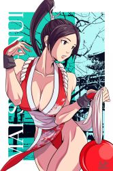 Rule 34 | 1girl, breasts, brown hair, cleavage, collarbone, fatal fury, highres, japanese clothes, large breasts, looking to the side, ponytail, shiranui mai, solo, tagme
