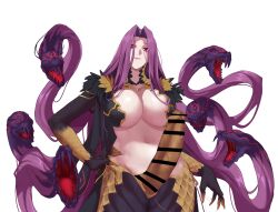 Rule 34 | 1girl, bar censor, breasts, censored, fate/grand order, fate (series), futanari, gorgon (fate), hand on own hip, highres, huge breasts, lamia, long hair, medusa (fate), medusa (rider) (fate), monster girl, penis, red eyes, rider, scales, snake hair, solo, todding, white background