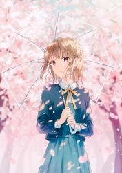 Rule 34 | 1girl, blazer, blue dress, blue jacket, blurry, blurry background, blush, braid, brown hair, brown ribbon, cherry blossoms, collared shirt, commentary request, depth of field, dress, dress shirt, highres, hiten (hitenkei), holding, holding umbrella, jacket, long hair, long sleeves, looking away, looking to the side, neck ribbon, open clothes, open jacket, original, parted lips, petals, pinafore dress, red eyes, ribbon, school uniform, shirt, sleeveless dress, solo, transparent, transparent umbrella, tree, umbrella, white shirt