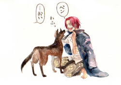 Rule 34 | 1boy, abs, amputee, barefoot, capri pants, collarbone, dog, feet, jacket, jacket on shoulders, male focus, one piece, open clothes, open mouth, open shirt, pants, patterned legwear, red hair, sandals, scar, shanks (one piece), shirt, short hair, simple background, sitting, smile, solo, squatting, toes, white background, white shirt