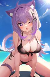 Rule 34 | 1girl, ;d, ahoge, animal ear fluff, animal ears, bakko, bare shoulders, bikini, black bikini, black ribbon, blue sky, blush, breasts, cat ears, cat girl, cat tail, cleavage, cloud, collarbone, crossed bangs, day, fang, front-tie bikini top, front-tie top, hair between eyes, hair ribbon, halterneck, heart, heart-shaped pupils, highres, hololive, large breasts, long hair, looking at viewer, navel, nekomata okayu, one eye closed, open mouth, outdoors, purple eyes, purple hair, ribbon, side-tie bikini bottom, skindentation, sky, smile, solo, swimsuit, symbol-shaped pupils, tail, thigh strap, virtual youtuber