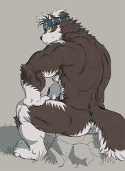 Rule 34 | 1boy, ainu clothes, animal ears, ass, bara, completely nude, convenient leg, furry, furry male, grey fur, grey hair, headband, horkeu kamui, looking at viewer, looking back, male focus, muscular, muscular male, nude, pectorals, profile, rock, rossciaco, sidepec, sitting, solo, tokyo houkago summoners, two-tone fur, wet, wolf boy, wolf ears, yellow eyes