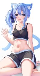 Rule 34 | 1girl, absurdres, animal ear fluff, animal ears, aoi zerii, arm up, armpit crease, bare arms, bare legs, black shorts, black sports bra, blue eyes, blue hair, blue ribbon, blue tail, blush, cat ears, cat tail, collarbone, crossed legs, curly hair, hair between eyes, hair ribbon, hand on ground, highres, hololive, hoshimachi suisei, light blush, midriff, navel, on floor, open hand, open mouth, ribbon, shorts, side ponytail, sidelocks, sitting, solo, sports bra, sportswear, stomach, tail, teeth, thighs, tongue, virtual youtuber, white background