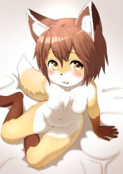 Rule 34 | 1girl, breasts, brown eyes, brown hair, fox, furry, furry female, highres, kagarimachi konatsu, open mouth, short hair, solo