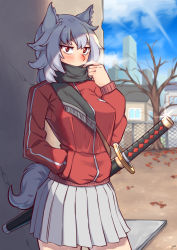 Rule 34 | 1girl, adjusting clothes, adjusting scarf, alternate costume, animal ears, autumn leaves, bare tree, black scarf, blush, breasts, breath, city, cloud, cold, contemporary, covering own mouth, cowboy shot, crack, fence, hand in pocket, highres, inubashiri momiji, jacket, looking at viewer, miniskirt, nikuatsu magician shinbo, no headwear, outdoors, red eyes, red jacket, red shirt, scarf, shade, sheath, shirt, short hair, skirt, solo, sword, tail, touhou, tree, weapon, white hair, white skirt, wolf ears, wolf girl, wolf tail