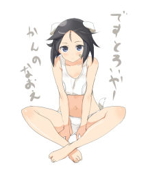 Rule 34 | 10s, 1girl, :&lt;, animal ears, bandaid, bandaid on face, bare legs, barefoot, black hair, blush, brave witches, breasts, full body, highres, indian style, kanno naoe, looking at viewer, navel, oi ke, panties, short hair, simple background, sitting, small breasts, solo, sports bra, strike witches, tail, underwear, underwear only, white background, white panties, world witches series
